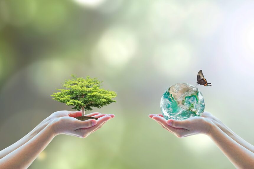 shutterstock   scaled
