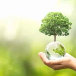 Международная компания QNET с большой готовностью присоединяется к подобным акциям и организовывает свои экологические мероприятия.