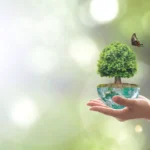 Международная компания прямых продаж QNET заботу о природе считает одной из своих главных миссий, в соответствии с которой реализует множество экологических программ.