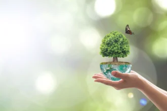 Международная компания прямых продаж QNET заботу о природе считает одной из своих главных миссий, в соответствии с которой реализует множество экологических программ.